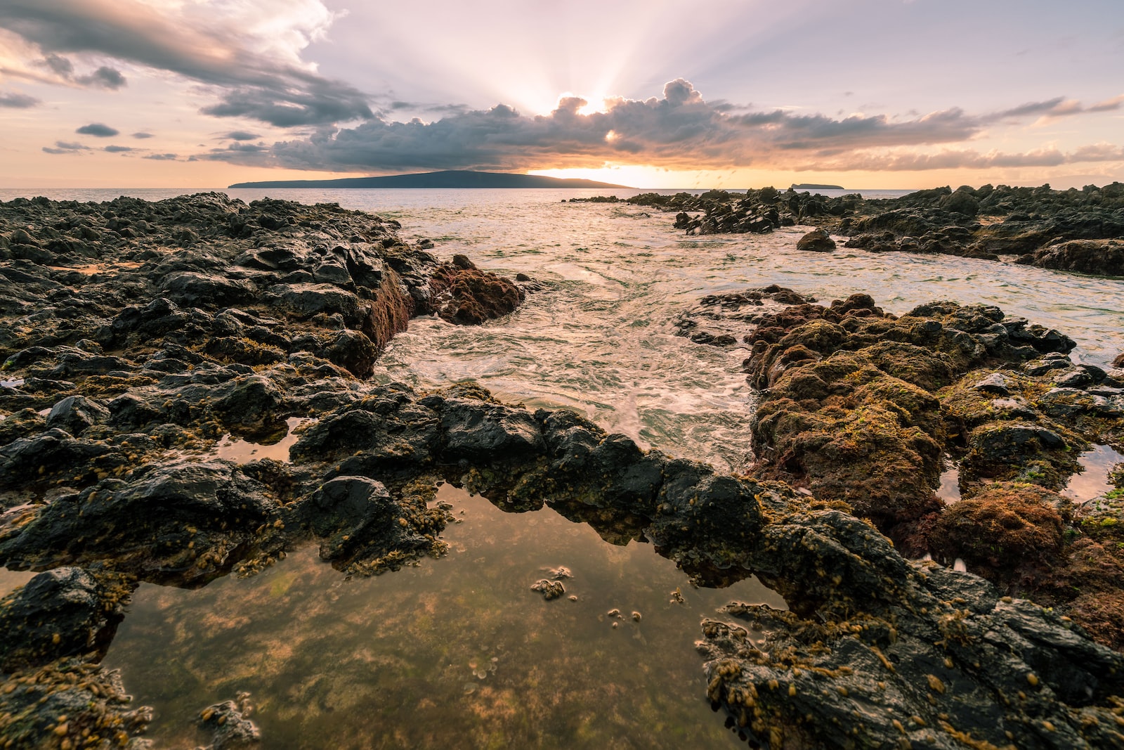 rocky shore during golden hour